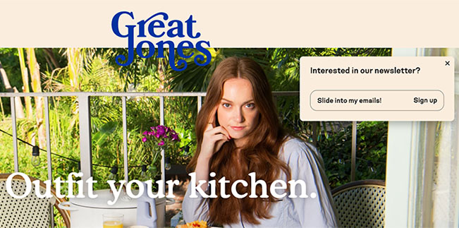 Landing Page Example - Great Jones