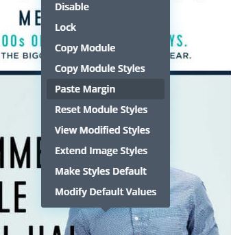 Paste Divi Image Margin for LazyLoad ScrollSpeed fix