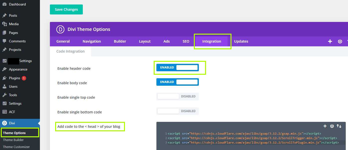 Where to add GSAP Code to Divi Theme Settings | How to Add GSAP to the Divi Theme in WordPress