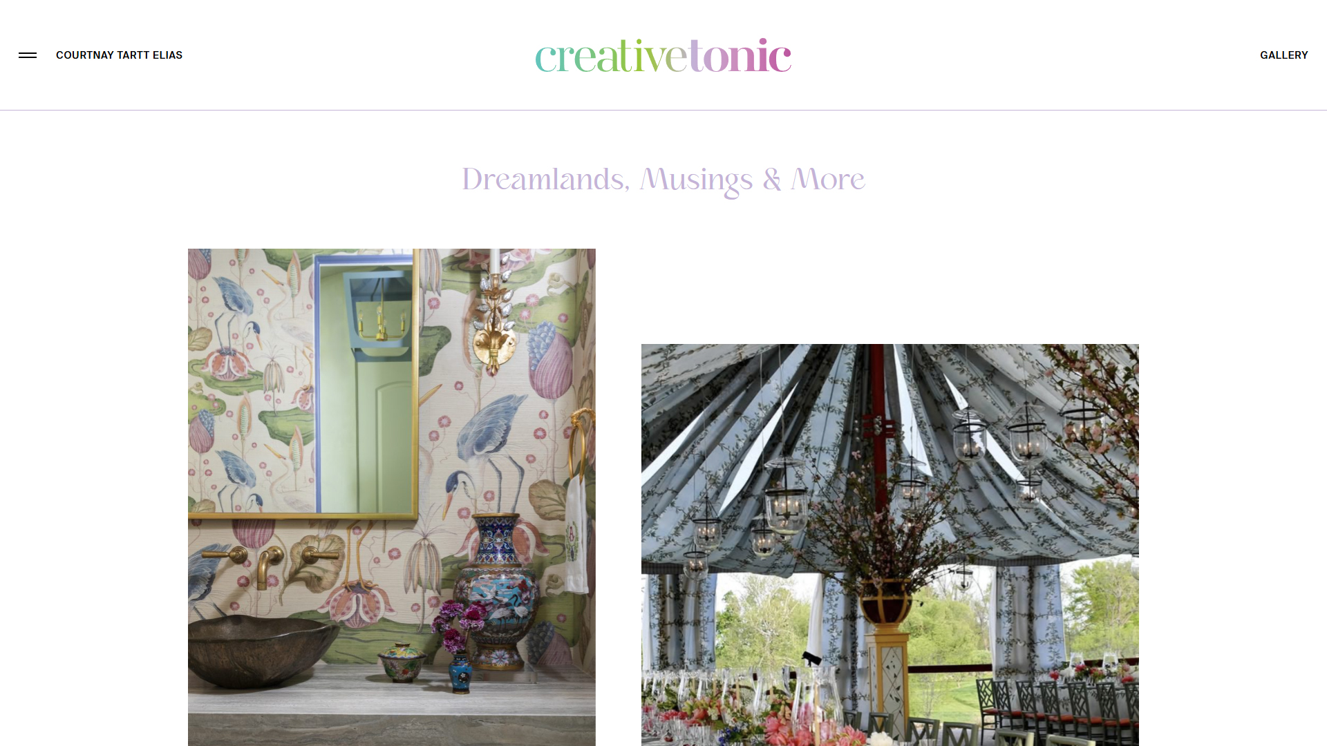 Custom Project Portfolio & Gallery System | Creative Tonic Design Project