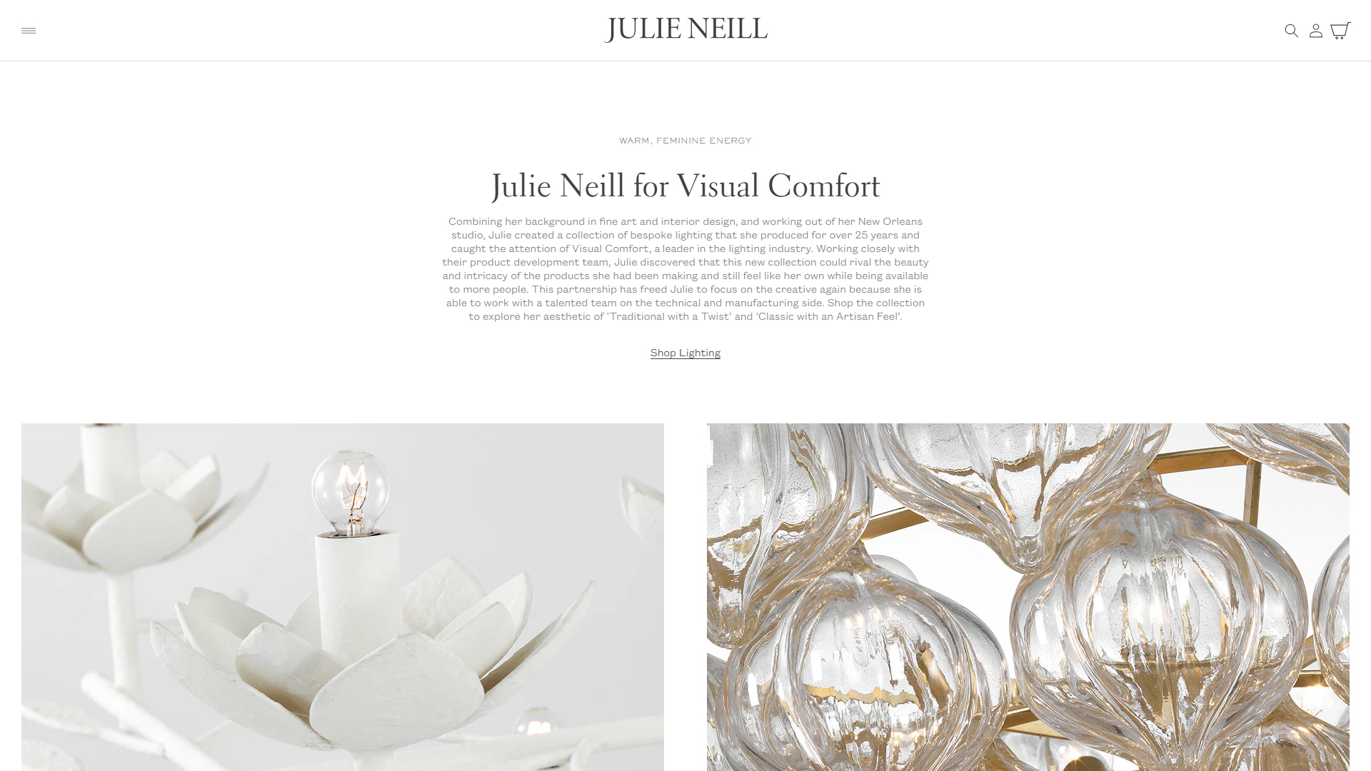Custom Shopify Theme Development | Julie Neill Designs Project